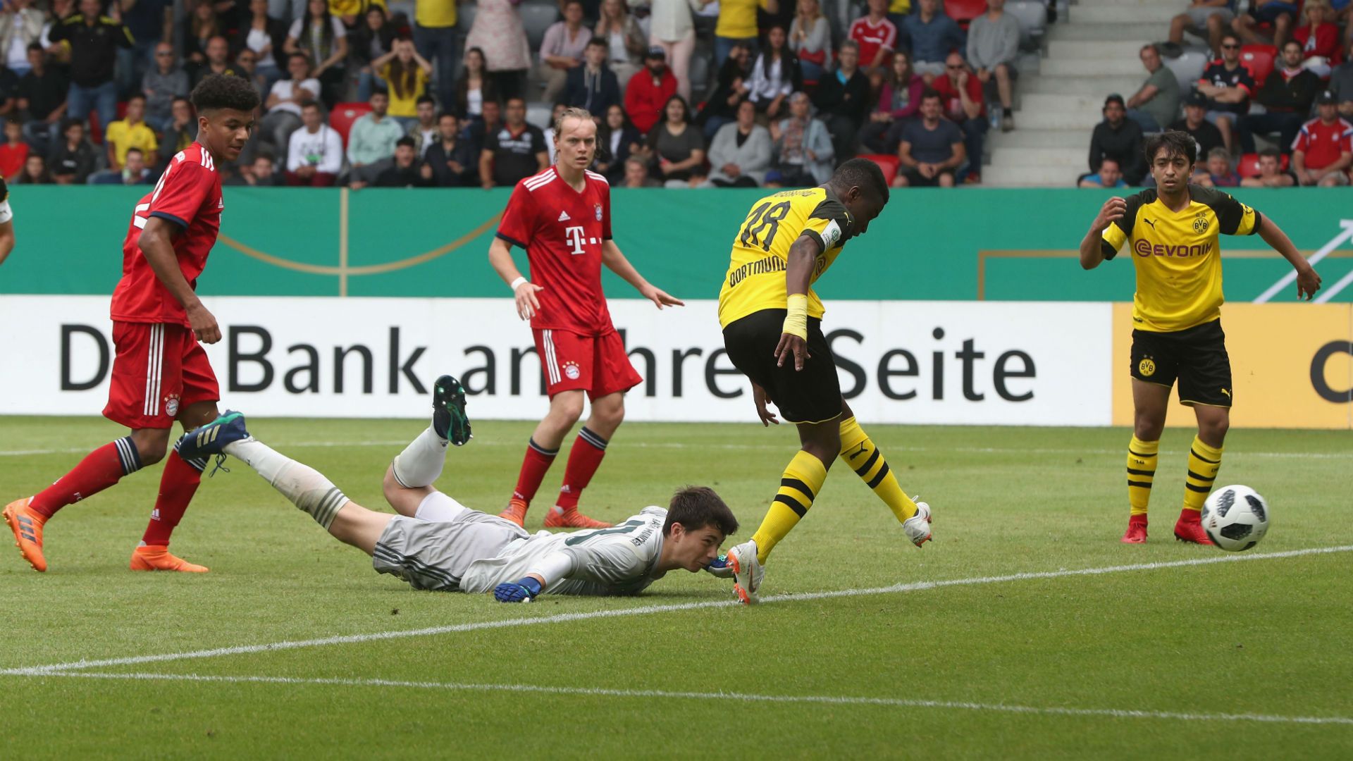 52ee087bd711a96040f55b23cf072c54