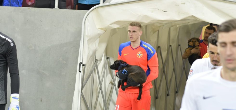 Ivan Mamut, din nou în grațiile patronului. Sursă foto: gsp.ro