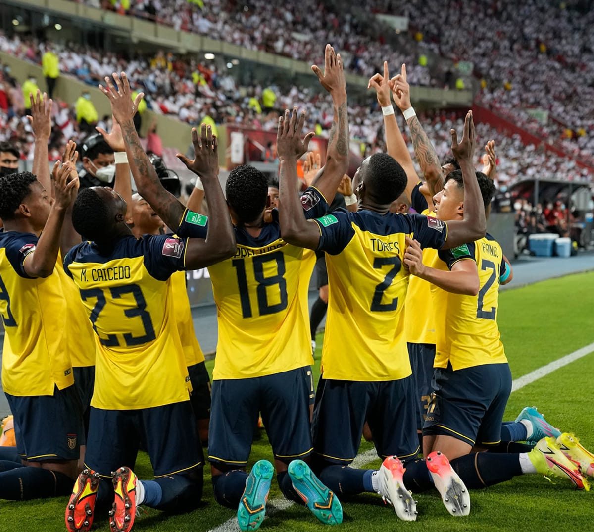 Ecuador a fost la un pas să fie exclusă de la Campionatul Mondial. Sursă foto: goal.com